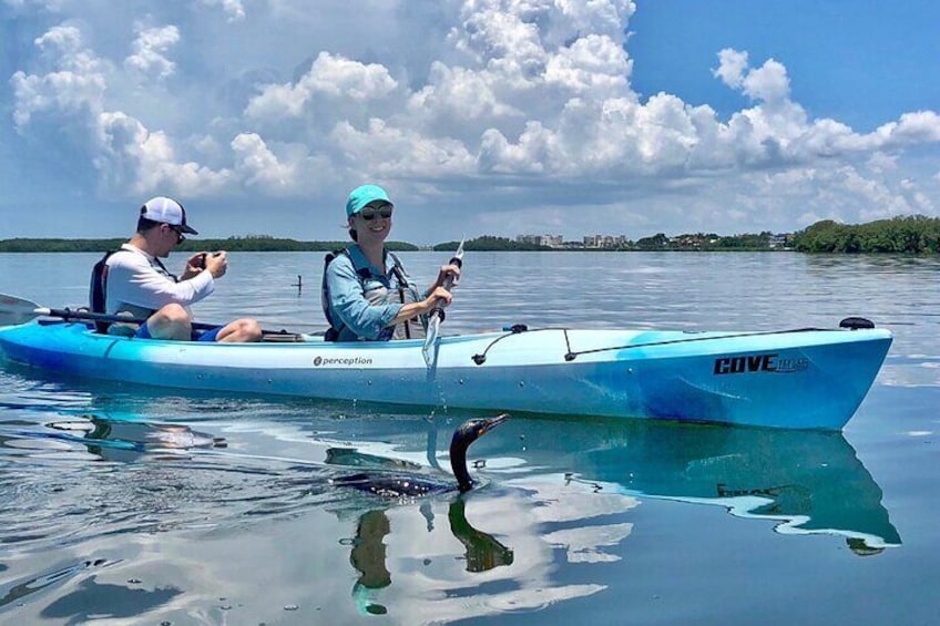 Small Group Kayak Tour of the Shell Key Preserve