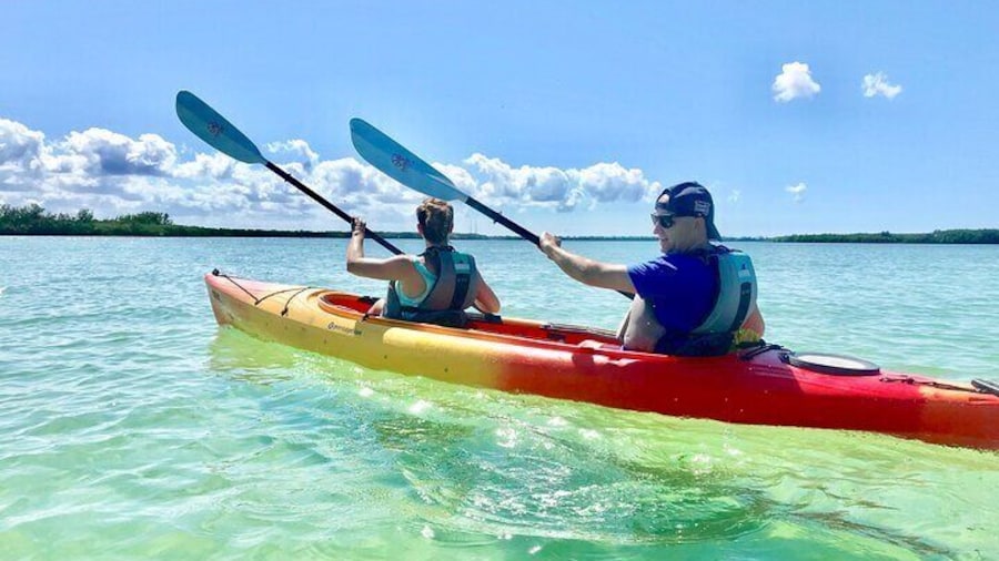 Small Group Kayak Tour of the Shell Key Preserve