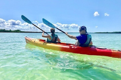 Visite en kayak en petit groupe de la réserve Shell Key