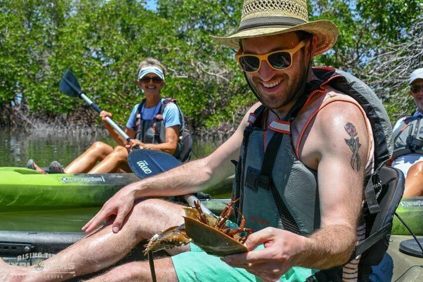 Search for bottom dwelling critters on teeming mudflats with the only biologist guides in Naples and Marco Island