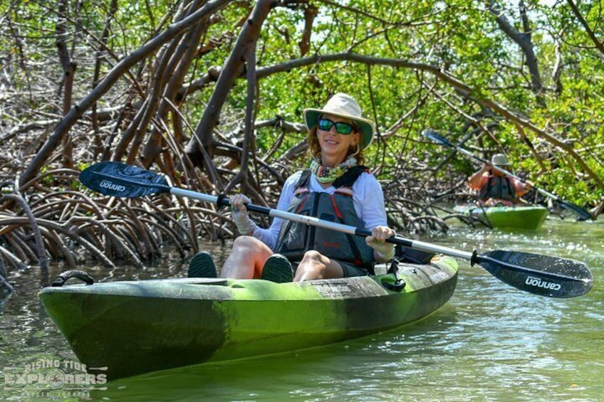 Cruise through the shaded mangrove tunnels of Naples and Marco Island in the Rookery Bay Reserve