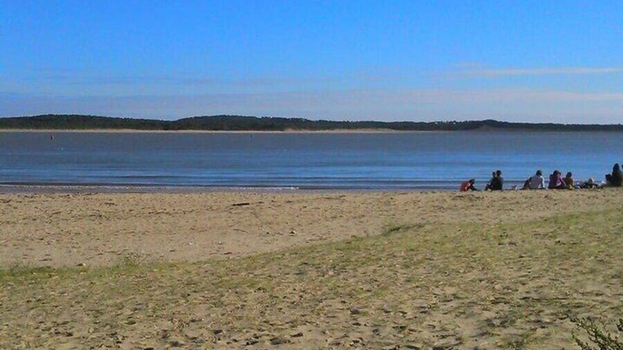Taichi & Qigong Class in Naples, Florida