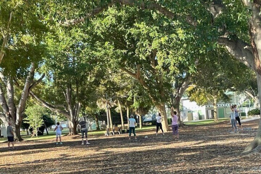 Taichi & Qigong Class
