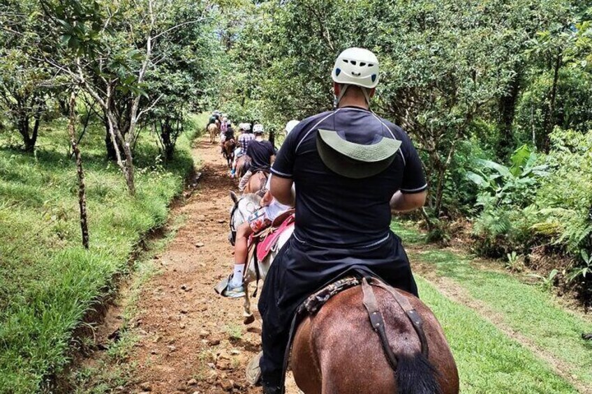 Rio Celeste Horseback Riding Tour