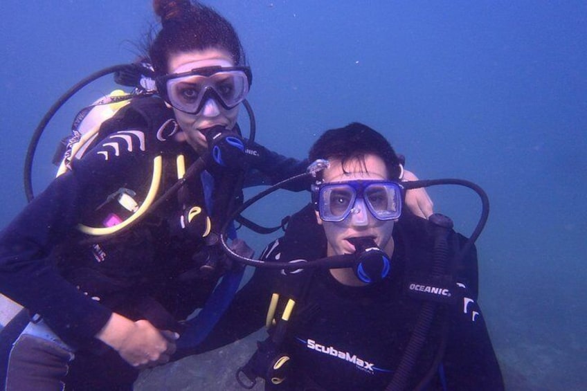 Diving from the boat