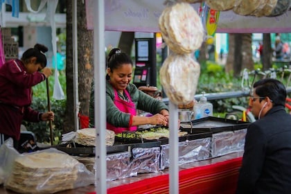 Magic Christmas Tour in Puebla