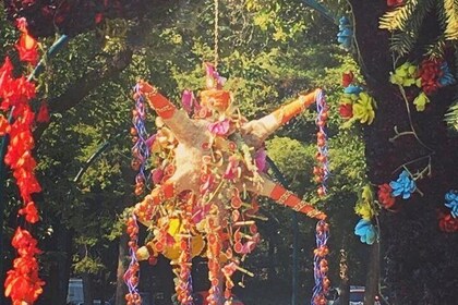 チワワのマジッククリスマスツアー