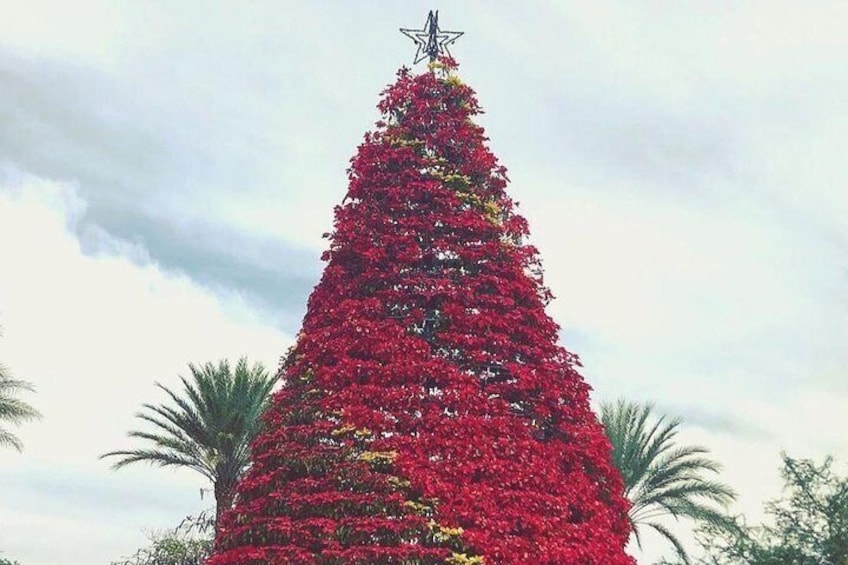 Magic Christmas Tour in Queretaro 1