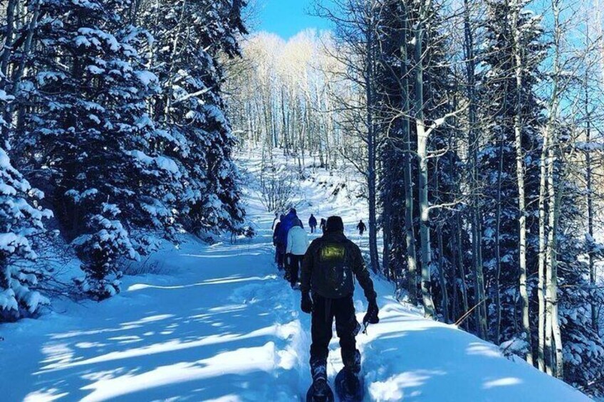 Guided Snowshoe Excursion