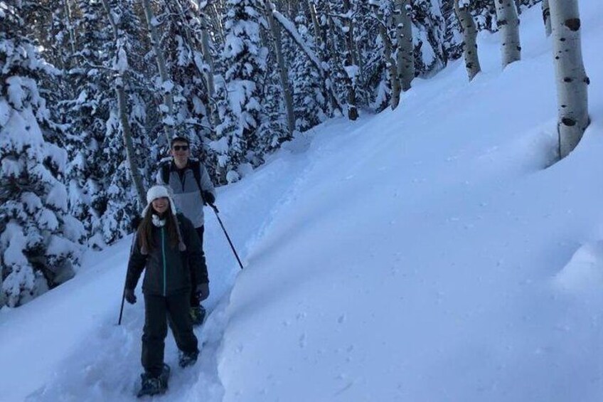 Guided Snowshoe Excursion