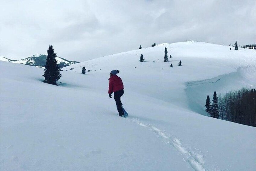 Guided Snowshoe Excursion