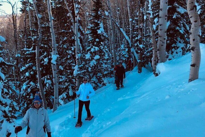 Guided Snowshoe Excursion