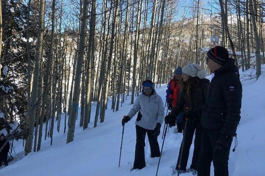 Guided Snowshoe Excursion