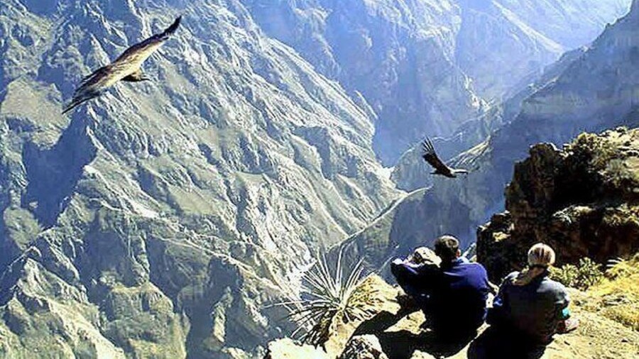 Tour Colca Full Day Promotional Price