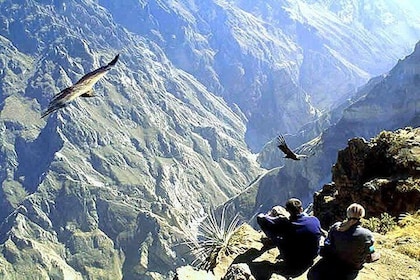 Tour Colca Full Day Promotional Price