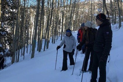 Private Park City Snowshoe Excursions (9:30am/12:30pm start time)