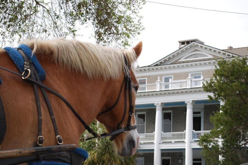 Pre American Revolution Anchorage Inn 
From a horses point of view