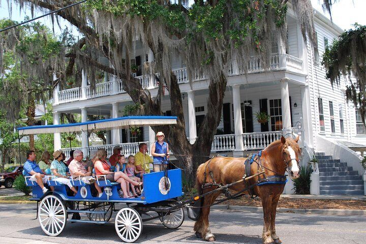 Horse and carriage tours online