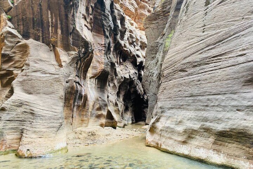 The Narrows: Zion National Park Private Guided Hike