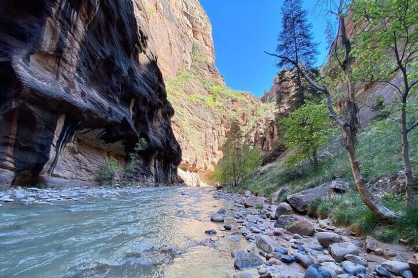 The Narrows: Zion National Park Private Guided Hike