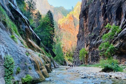 The Narrows: Private geführte Wanderung im Zion-Nationalpark