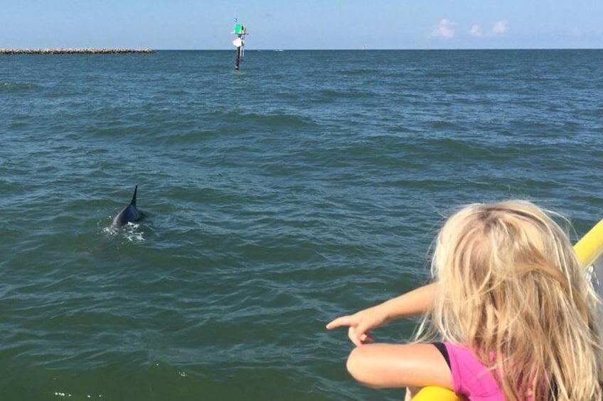 Clearwater Encounters with Dolphins Tour