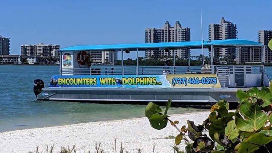 Clearwater Encounters with Dolphins Tour