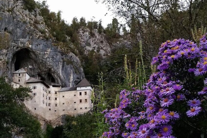 Postojna Caves and Predjama Castle. Private trip.