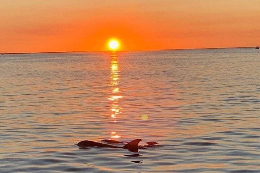 Sunset Cruise on the Florida Bay