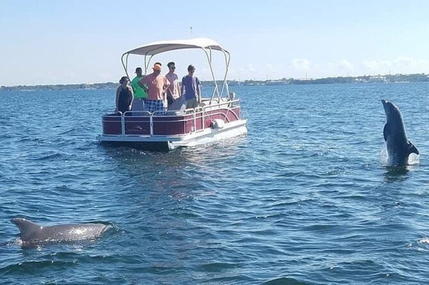 Florida Keys Eco Tour by Boat