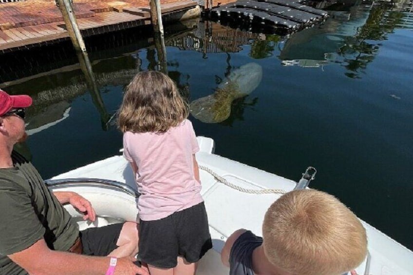 Small Group Florida Keys Eco Tour by Boat