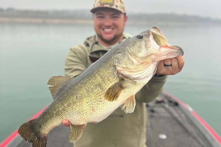 Guided Fishing Trip on Canyon Lake