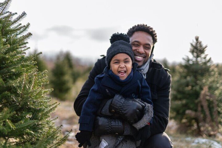A Christmas Walking Tour to Toronto’s Holiday Magic