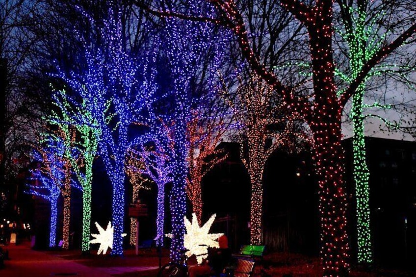 A Magical Christmas Tour in Atlanta