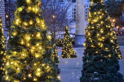 Magical Christmas Walking Tour in Atlanta