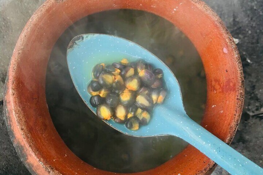 Blue corn Nixtamal