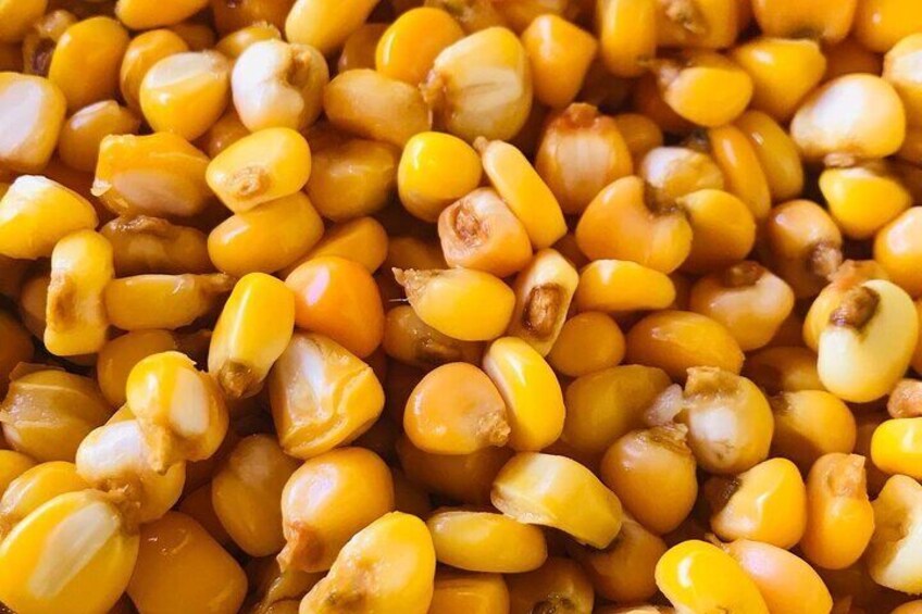 Yellow corn Nixtamal 