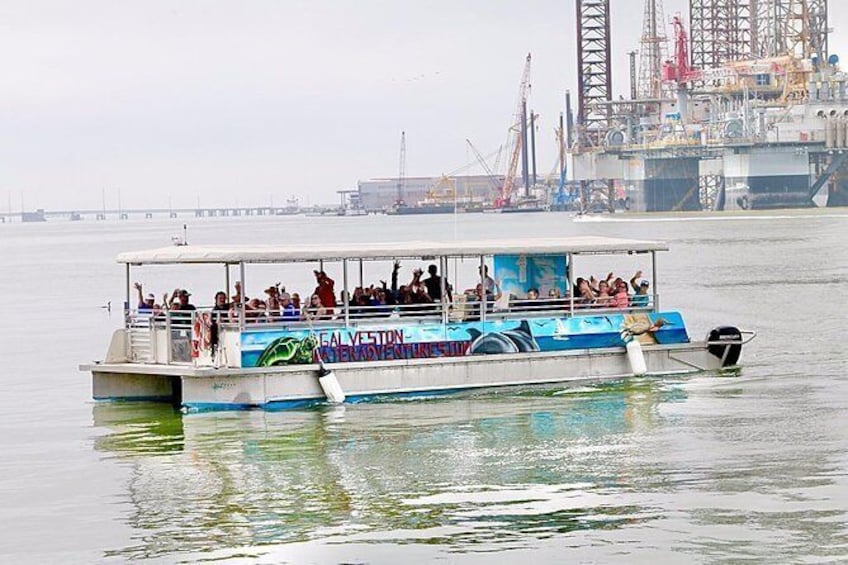Show item 1 of 10. Dolphin Sightseeing Tour
