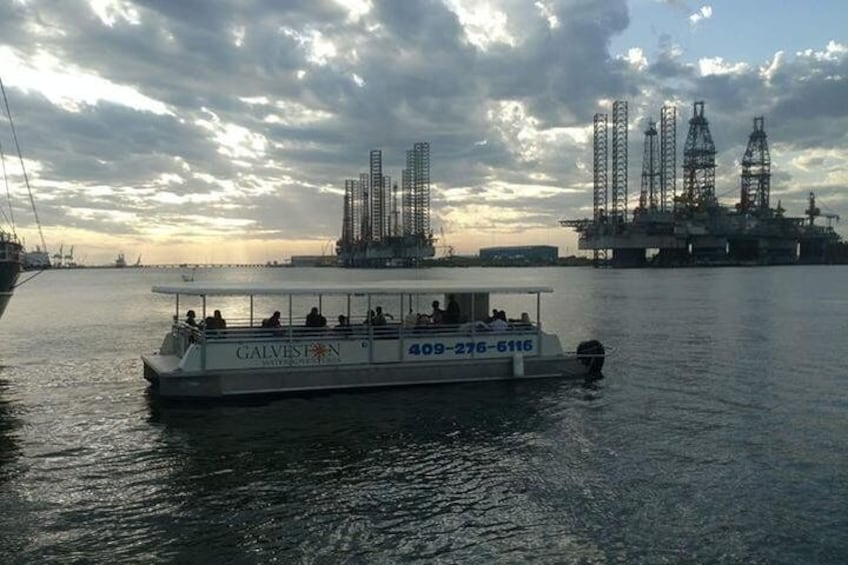 Show item 2 of 10. Dolphin Sightseeing Tour in Galveston with a Guide
