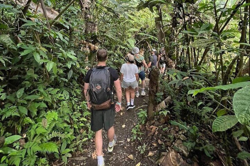 Half Day Adventure from La Fortuna- 2 tours in 1, 4 options to choose!