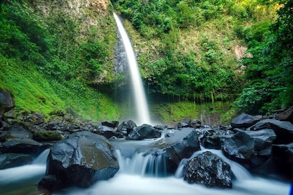 Half Day Adventure from La Fortuna- 2 tours in 1, 4 options to choose!