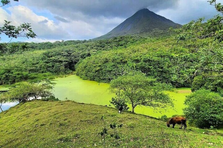 Half Day Adventure from La Fortuna- 2 tours in 1, 4 options to choose!