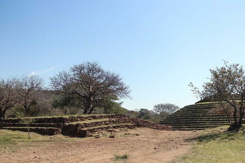 Guachimontones Archaeological Tour