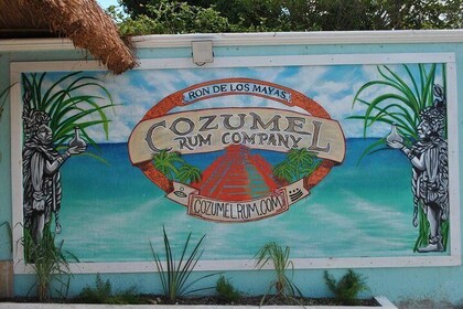 Cozumel Rum Tasting and Merchandise 