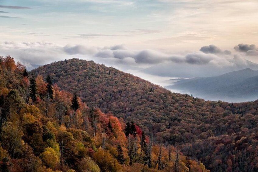 Blue Ridge Vista