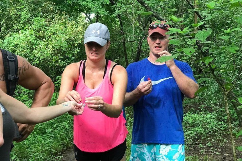 Tasting wild Hibiscus flowers