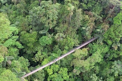 Mistico Hanging Bridges