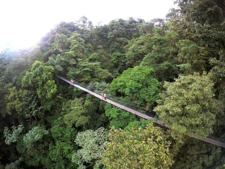 Arenal Hanging Bridges