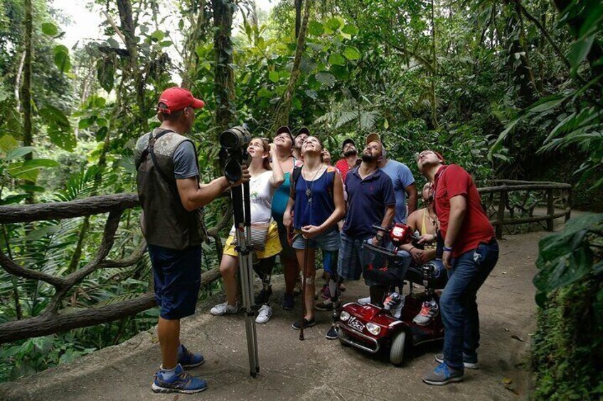 Mistico Park Hanging Bridges