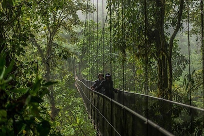 ARENAL FUSION ADVENTURE (1): Volcano,Waterfall & Hanging Bridges